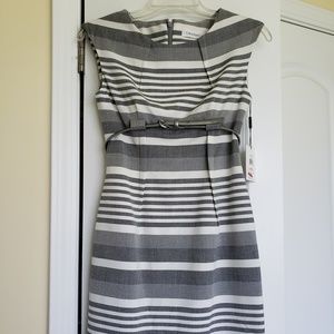 calvin klein petite dresses